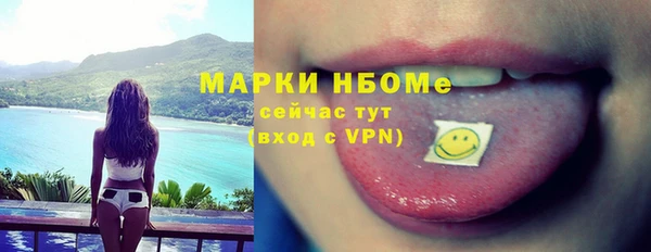 шишки Абаза