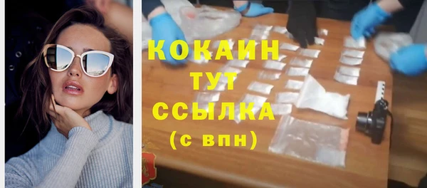 шишки Абаза