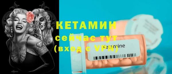 шишки Абаза
