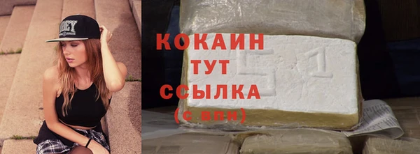 шишки Абаза