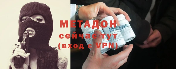 шишки Абаза