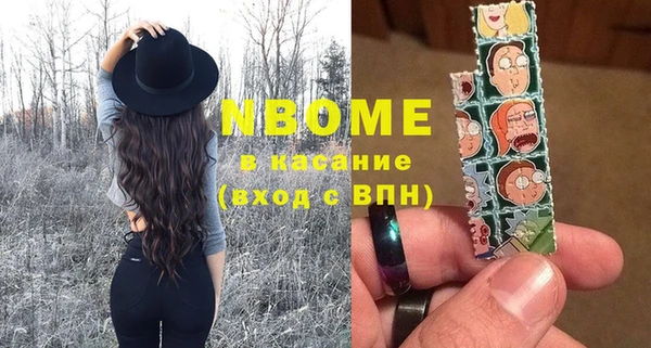 шишки Абаза