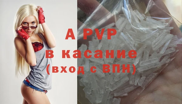 шишки Абаза