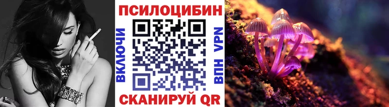 закладка  Прокопьевск  Галлюциногенные грибы Cubensis 