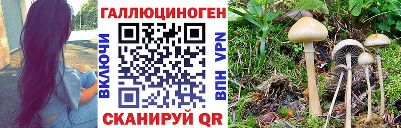 Галлюциногенные грибы GOLDEN TEACHER Прокопьевск