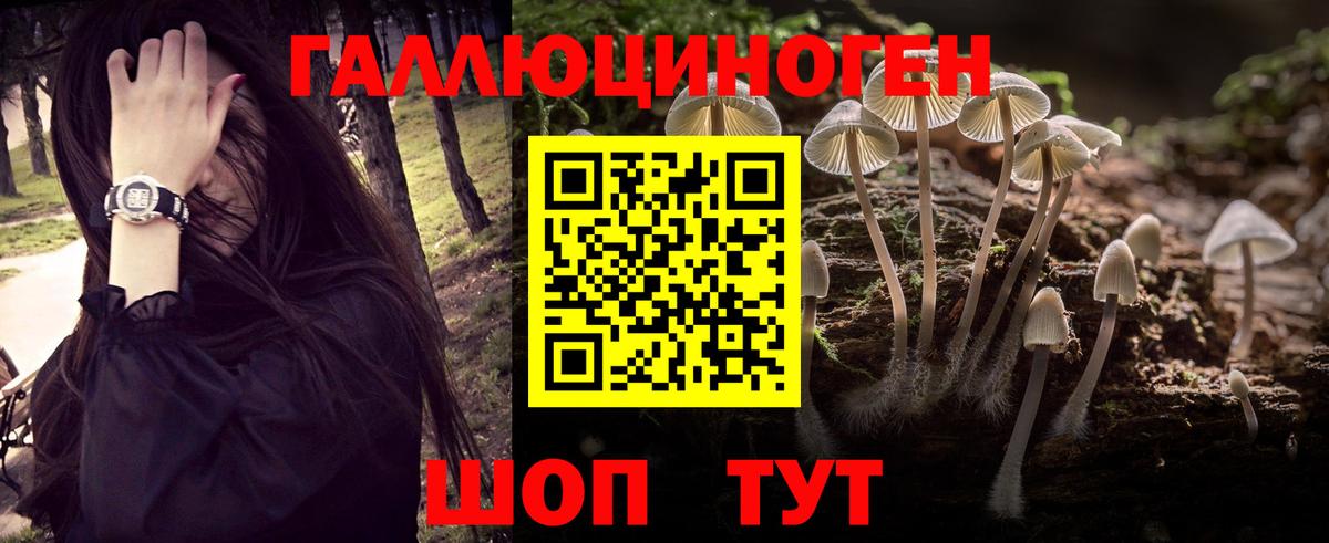Галлюциногенные грибы мицелий  Вход с VPN  Прокопьевск 